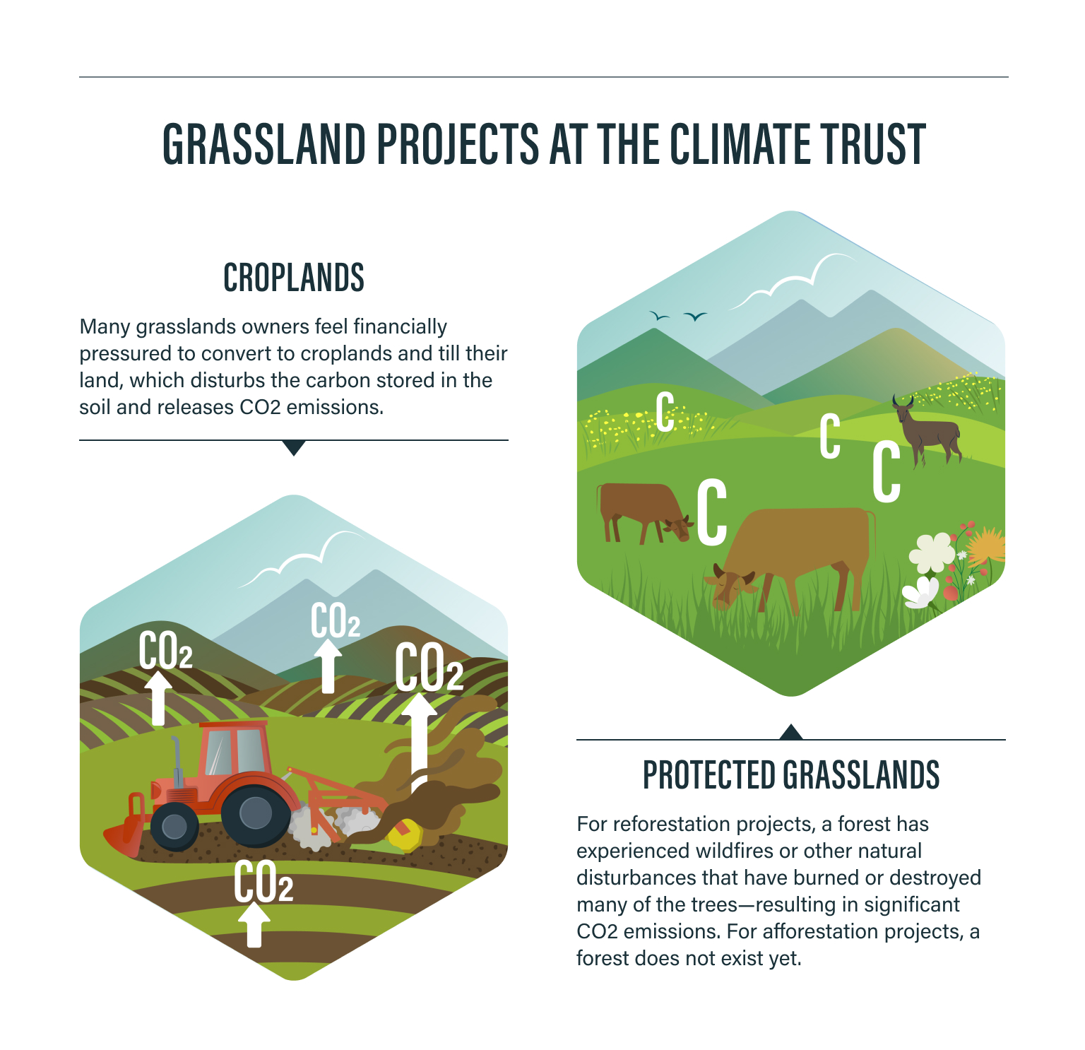 Grasslands-Project-Infographic